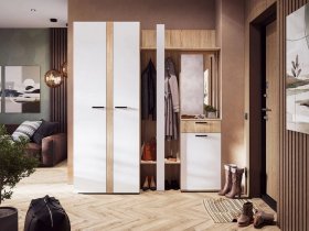 Модульная прихожая Санса (дуб сонома/белый) в Зырянке - zyryanka.mebel-nsk.ru | фото